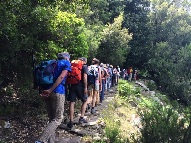 in-meditazione-camminata