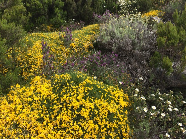 colori-mediteranei