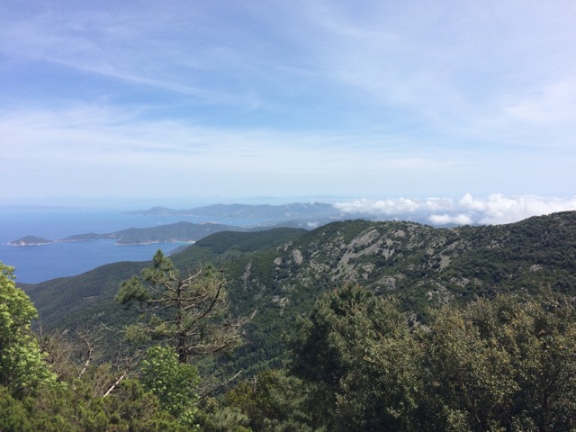 panorama