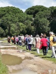 inizio meditazione camminata