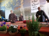 gli insegnamenti di Dharma