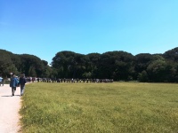 domenica ...  prima della meditazione camminata