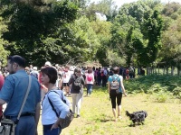 nel Parco di San Rossore