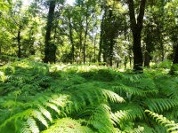 ... della natura