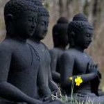 Widget sangha Palermo__1431965813_80.180.54.86