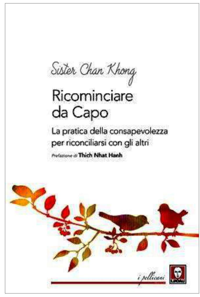 Ricominciare da capo-widget